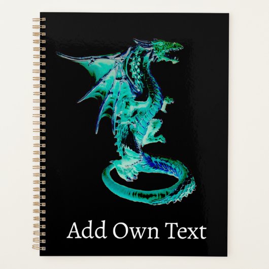 Sea Blue Dragon Planer (Vorderseite)