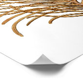 Sea Coral No.8 Antique Natural History Print Poster (Ecke)