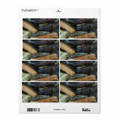 Sea Cucumber ... Yaowarat Market Food (Vorne)