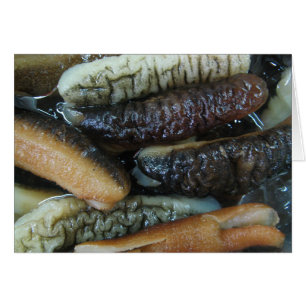 Sea Cucumber ... Yaowarat Market Food Card