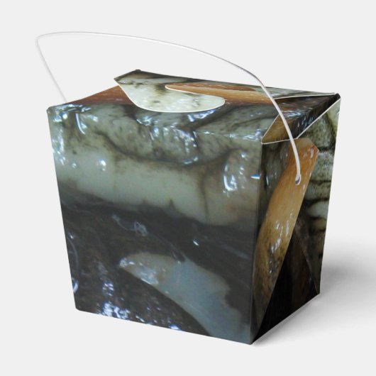 Sea Cucumber ... Yaowarat Market Food Geschenkschachtel (Rückseite)