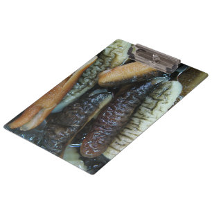 Sea Cucumber ... Yaowarat Market Food Klemmbrett