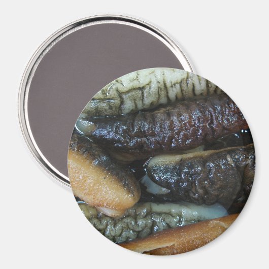 Sea Cucumber ... Yaowarat Market Food Magnet (Vorderseite/Rückseite)