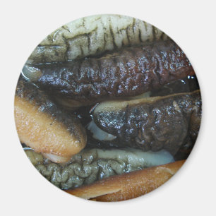 Sea Cucumber ... Yaowarat Market Food Magnet