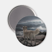 Sea Dog Magnet (Vorderseite/Rückseite)