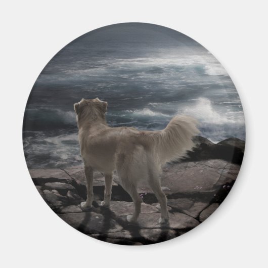 Sea Dog Magnet (Vorne)