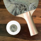 Sea Dragon Tischtennisball