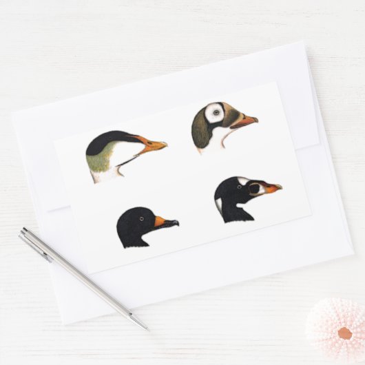 Sea Ducks Logo Rechteckiger Aufkleber (Umschlag)