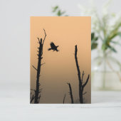 Sea-Eagle Wildlife Foto Karte (Stehend Vorderseite)