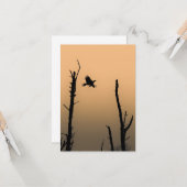 Sea-Eagle Wildlife Foto Karte (Vorderseite/Rückseite Beispiel)