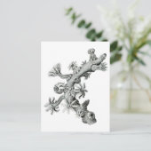 Sea-Fan Postkarte (Stehend Vorderseite)