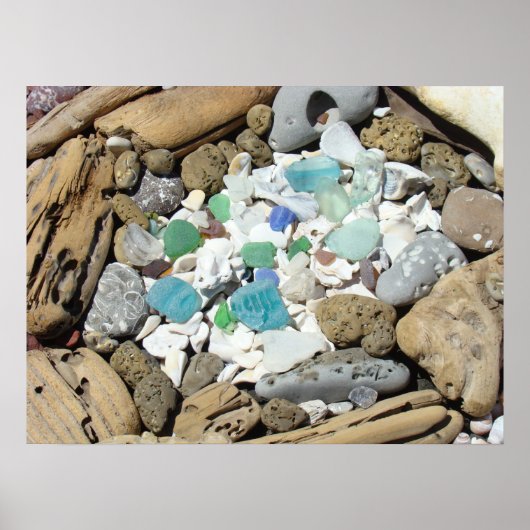 Sea Glass Plakate Beach Muscheln Fossilien Beach (Vorne)