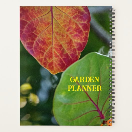 Sea Graf Leaf Garden Planer (Rückseite)