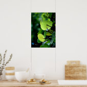 Sea Grape Blätter Tree Bush Poster (Küche)