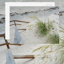Sea Grass and White Sand Dune Beach Fotografie Postkarte