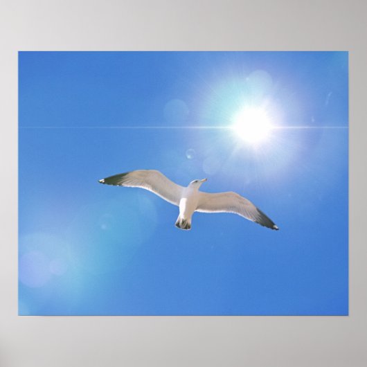 Sea Gull Bird Flying Sun Fotografy Art Print Poster (Vorne)