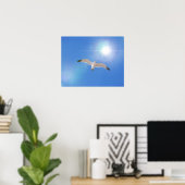 Sea Gull Bird Flying Sun Fotografy Art Print Poster (Heimbüro)