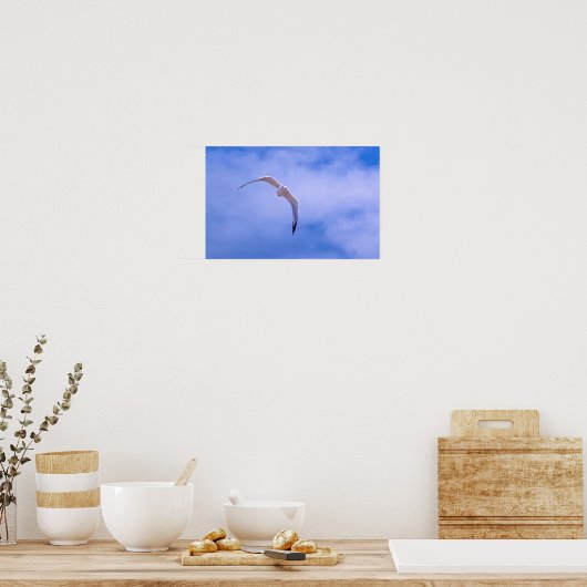 Sea gull in flight poster (Küche)