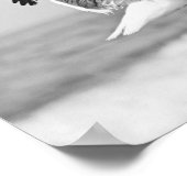 Sea Gull on Beach Rocks Schwarz-Weiß-Print Poster (Ecke)