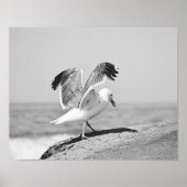 Sea Gull on Beach Rocks Schwarz-Weiß-Print Poster (Vorne)