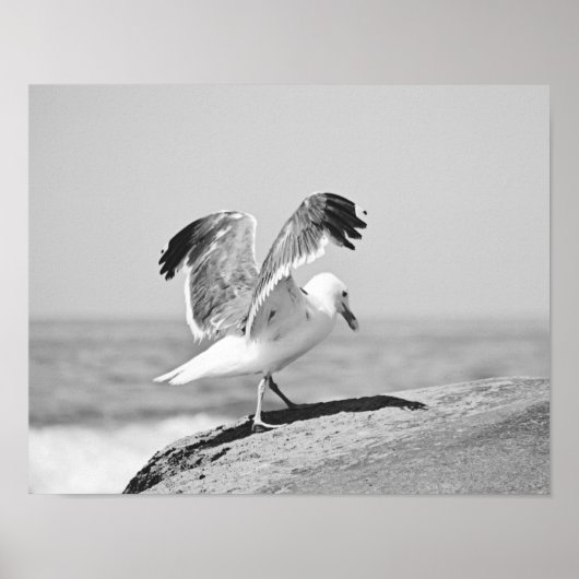 Sea Gull on Beach Rocks Schwarz-Weiß-Print Poster (Vorne)