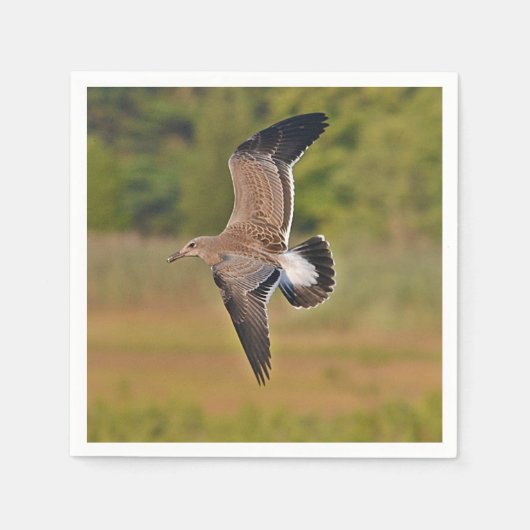 Sea Gull Paper Napkin Serviette (Vorderseite)