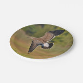 Sea Gull Paper Plate Pappteller (Schrägansicht)
