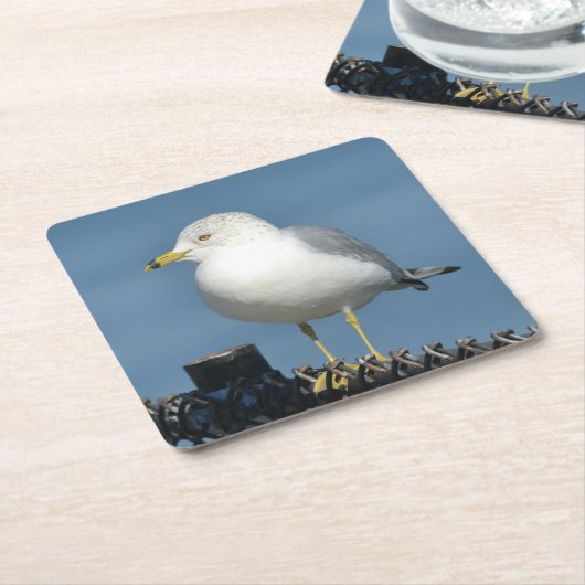 Sea Gull Party Untersetzer (angewinkelt)