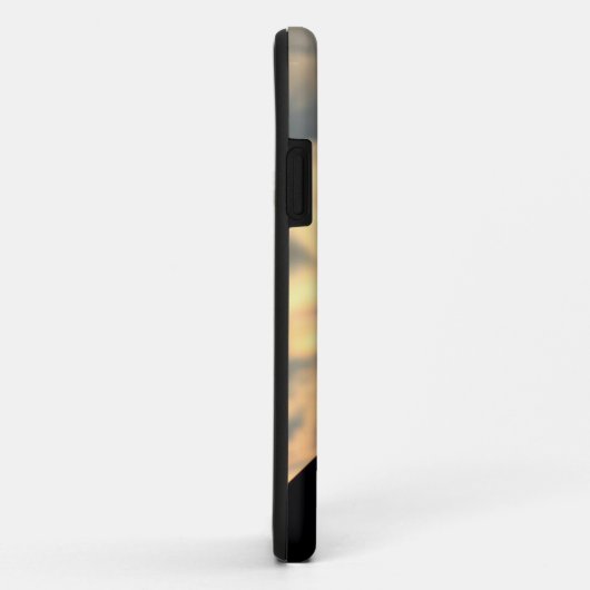 Sea Gull Sunset Case-Mate iPhone Hülle (Hinten/Rechts)