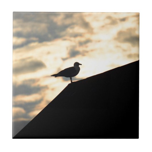 Sea Gull Sunset Fliese (Vorderseite)