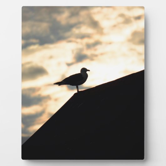 Sea Gull Sunset Fotoplatte (Vorderseite)
