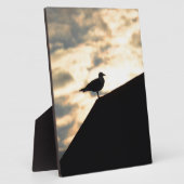 Sea Gull Sunset Fotoplatte (Seite)