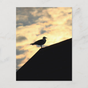 Sea Gull Sunset Postkarte