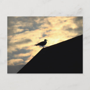 Sea Gull Sunset Postkarte