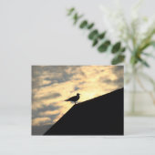 Sea Gull Sunset Postkarte (Stehend Vorderseite)