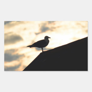 Sea Gull Sunset Rechteckiger Aufkleber