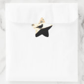 Sea Gull Sunset Stern-Aufkleber (Tasche)