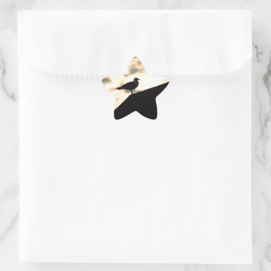 Sea Gull Sunset Stern-Aufkleber (Tasche)