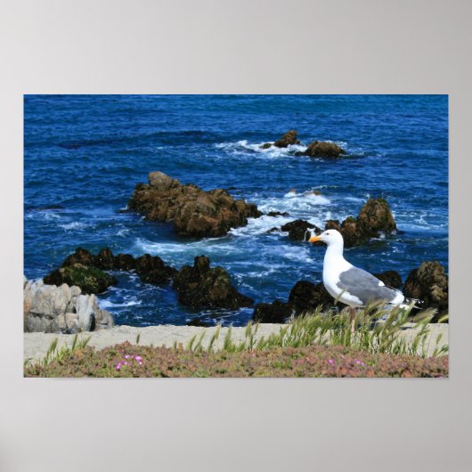 Sea Gull vor der Pazifikküste, Foto Poster (Vorne)