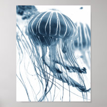 SEA JELLYFISH FOTOGRAFISCHER POSTER