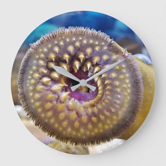 Sea Lamprey Mouth Große Wanduhr (Vorderseite)