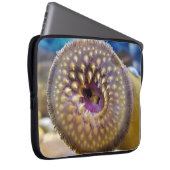 Sea Lamprey Mouth Laptopschutzhülle (Vorne Rechts)