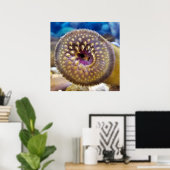 Sea Lamprey Mouth Poster (Heimbüro)