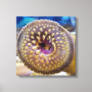 Sea Lamprey Mouth Poster Leinwanddruck