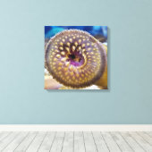 Sea Lamprey Mouth Poster Leinwanddruck (Insitu (Holzboden))