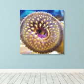 Sea Lamprey Mouth Poster Leinwanddruck (Insitu (Holzboden))