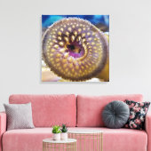 Sea Lamprey Mouth Poster Leinwanddruck (Insitu (Wohnzimmer))
