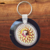 Sea Lamprey Schlüsselanhänger (Vorderseite)