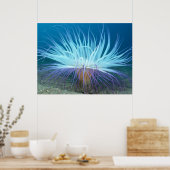 Sea Life Anemone Poster / Print (Küche)