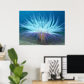 Sea Life Anemone Poster / Print (Heimbüro)